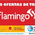 Oferta de trabajo para Ingeniero de desarrollo en Flamingo Medellín